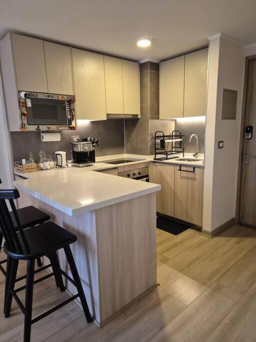 Pensión Con Bano Privado En Depto Compartido Santiago de Chile